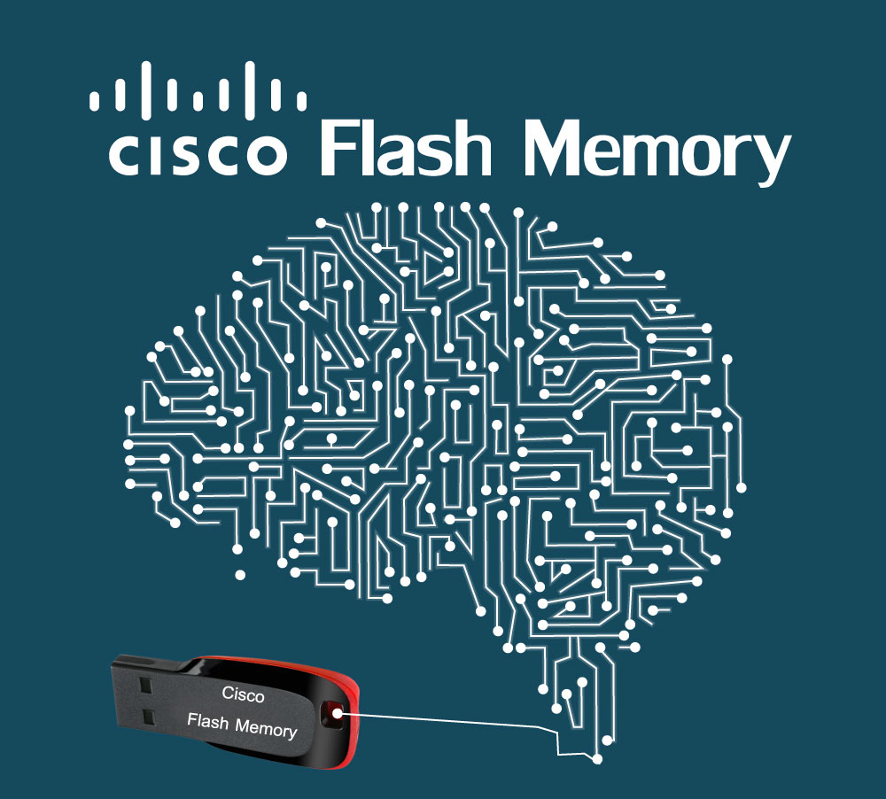 Cisco flash usb