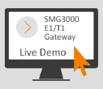 SMG3000